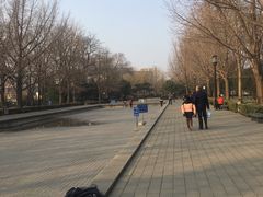 -玲珑塔公园