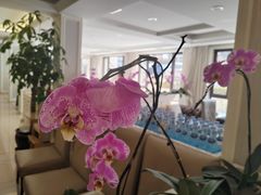 -天天渔港(杏林街店)