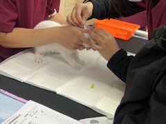 -美联众合动物医院·24h转诊中心