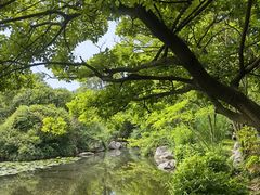 -上海吴淞炮台湾国家湿地公园