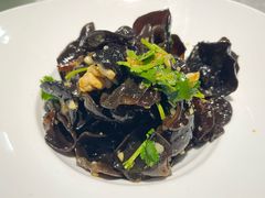 -洞庭家宴·头牌甲鱼(广渠门店)