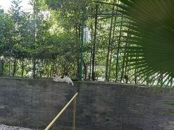 -馨月汇·一悦馨香月子中心(前滩店)