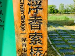 -荷塘月色湿地公园·向阳花洲