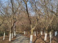 -白马涧龙池景区