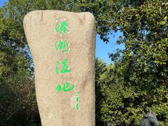 -溱湖国家湿地公园