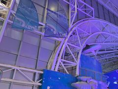 -烟台海昌鲸鲨海洋公园