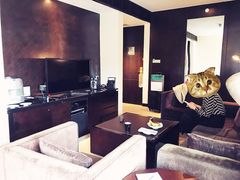 套间-青岛海尔洲际酒店