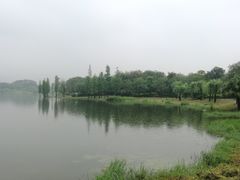 -飞来湖湿地公园