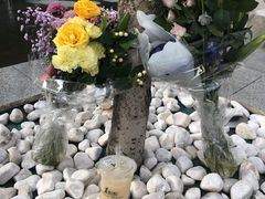 -1点点(银座和谐广场店)