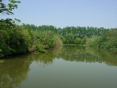 -溱湖国家湿地公园
