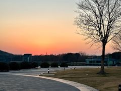 -上海月湖雕塑公园