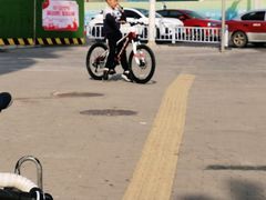 -道路口单车爱瓦士dahon大行