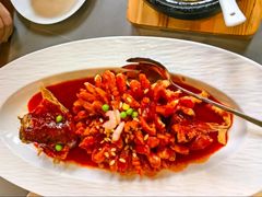 -苏城小院·园林精致苏州菜(斜塘老街店)
