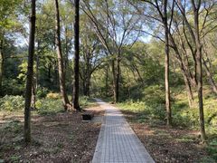 -老山国家森林公园