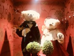 -济州岛泰迪熊博物馆