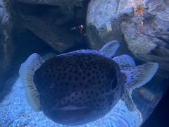 -成都浩海立方海洋公园