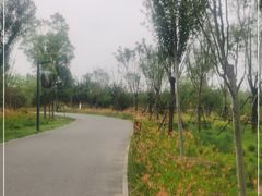 -东郊湿地公园