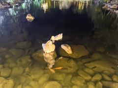 -水底山庄园温泉