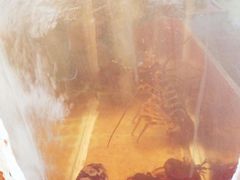 -聪辉同安老美食饭店(大元路店)