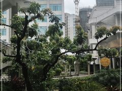 -中西名菜(增城店)
