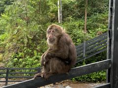 -西岭雪山大飞水景区