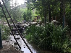 -白水寺森林公园