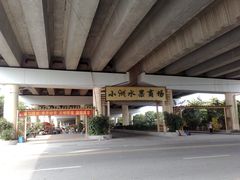 -小洲村
