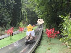 -富斯特索道
