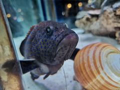 -太平洋海底世界