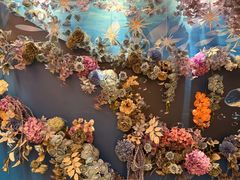 -宏宴·新京菜(望京店)