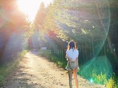 -塞罕坝国家级自然保护区