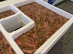 禾虫炒蛋-益利大酒楼(井岸店)