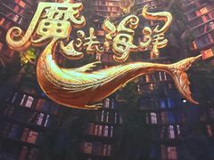 -海合安成都极地海洋公园