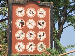 -北京西山国家森林公园