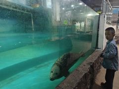 -嘉兴海底世界