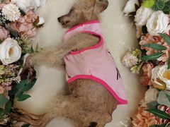 -万达广场(金堂店)