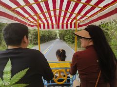 -盐城丹顶鹤湿地生态旅游区