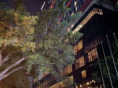 -广州天河希尔顿酒店