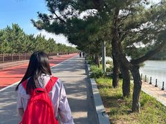 -日照海滨国家森林公园