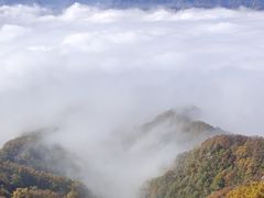 -西安祥峪森林公园