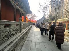 -护国法轮寺