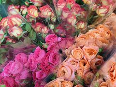 -循礼门鲜花花市(武汉循礼门店)