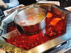 麻辣鸳鸯锅-蜀香居鲜毛肚火锅