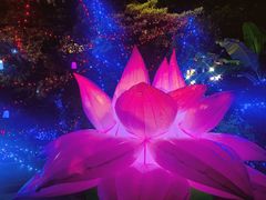 -虞山城墙
