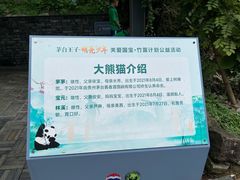 -都江堰中华大熊猫苑