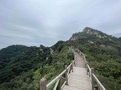 -大岭沟猕猴桃谷风景区