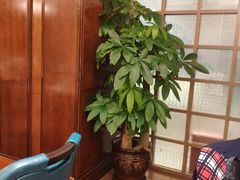 -梦都海鲜酒家(万达广场江桥店)