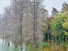 -松山湖风景区松湖烟雨
