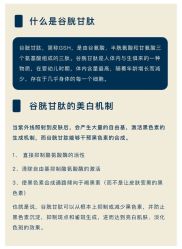 点击看大图 -玛莲朵·海菲秀冰珀科