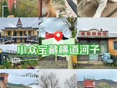 -横道河子东北虎林园